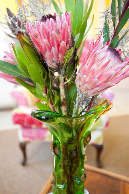 Karoo Art Hotel Barrydale Εξωτερικό φωτογραφία