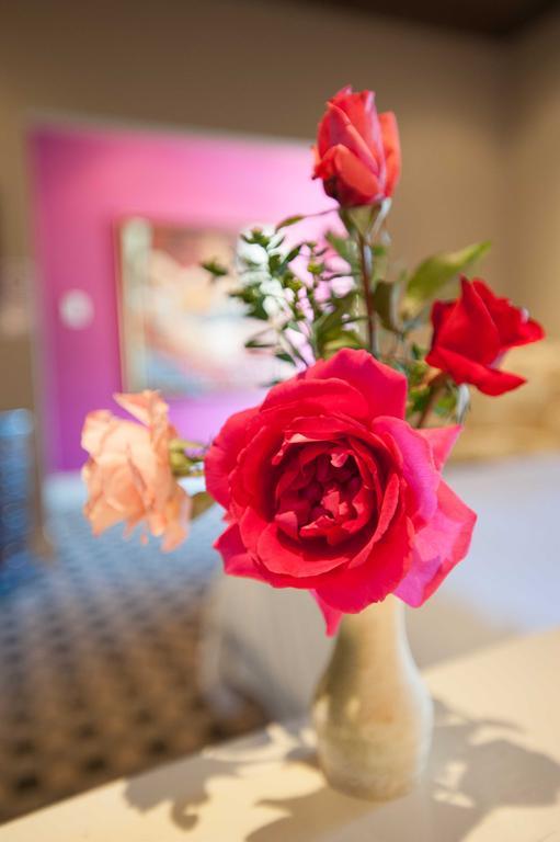 Karoo Art Hotel Barrydale Εξωτερικό φωτογραφία